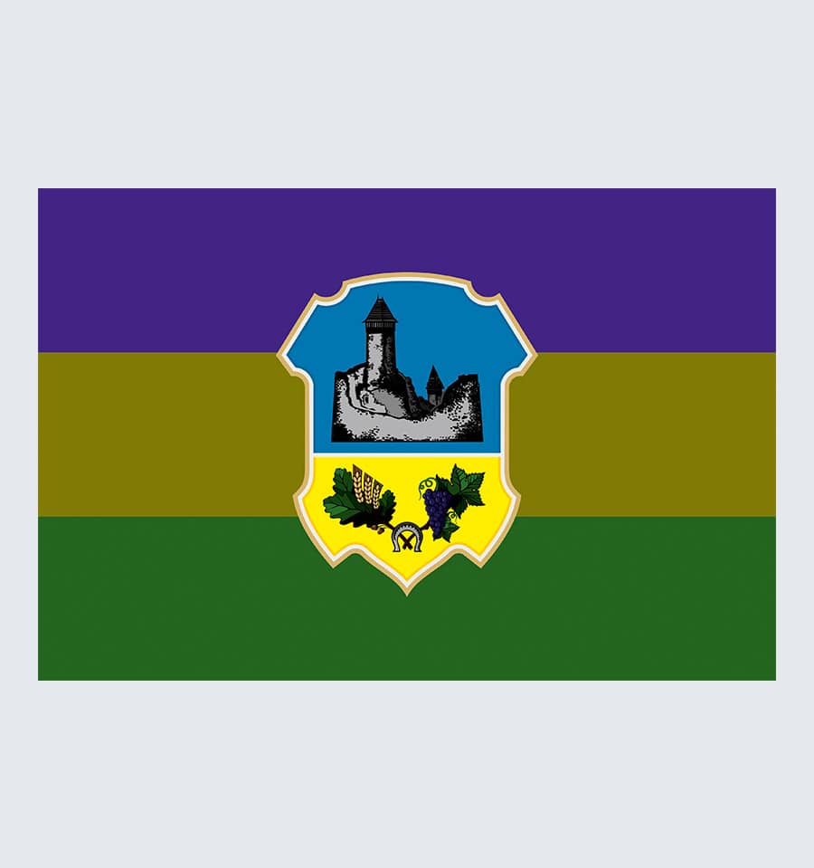 Прапор Ужгородського району